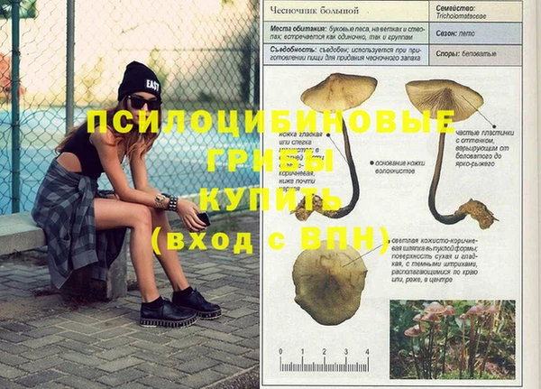 a pvp Приозерск