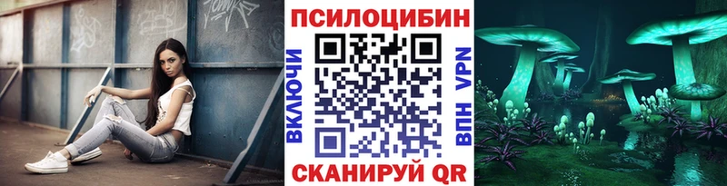 где купить наркотик  Камызяк  kraken рабочий сайт  Псилоцибиновые грибы мицелий 