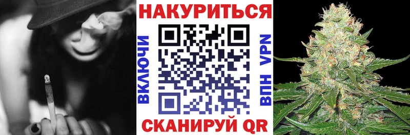 mega онион  Камызяк  Шишки марихуана планчик 